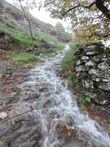 Calade en pierre sèche avec la pluie en Cévennes