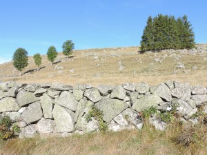 Clôture, granit, Aubrac