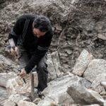 Membre ABPS - Francois Clergue