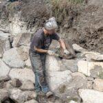 Membre ABPS - Severine Valverde